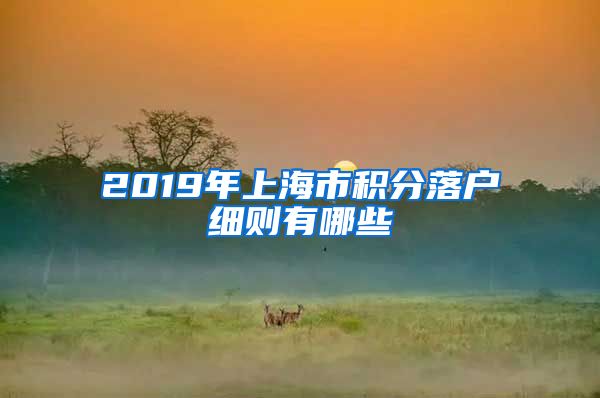 2019年上海市积分落户细则有哪些