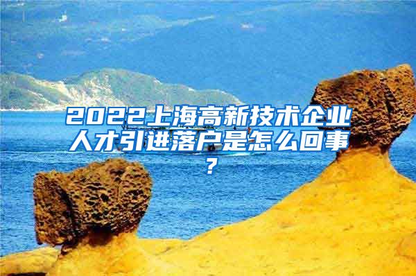 2022上海高新技术企业人才引进落户是怎么回事？