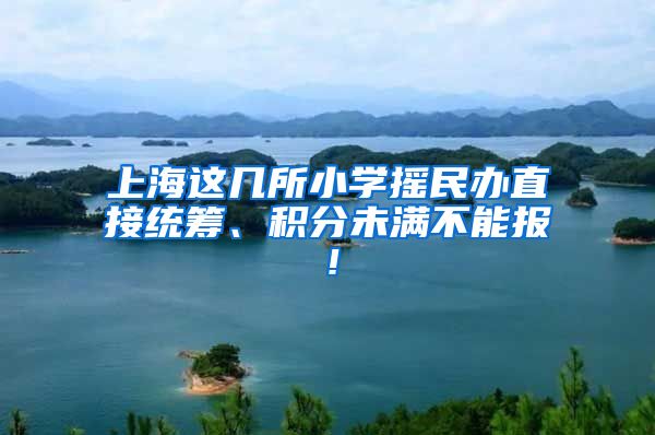 上海这几所小学摇民办直接统筹、积分未满不能报！