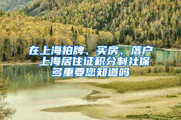 在上海拍牌、买房、落户 上海居住证积分制社保多重要您知道吗