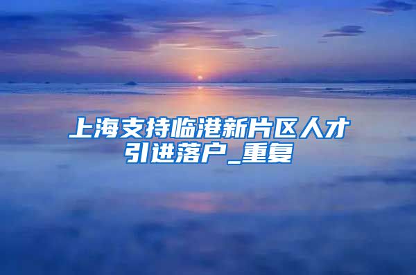 上海支持临港新片区人才引进落户_重复