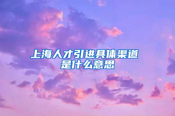 上海人才引进具体渠道 是什么意思