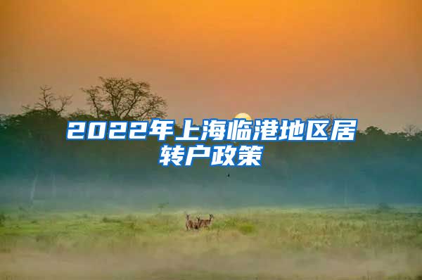 2022年上海临港地区居转户政策