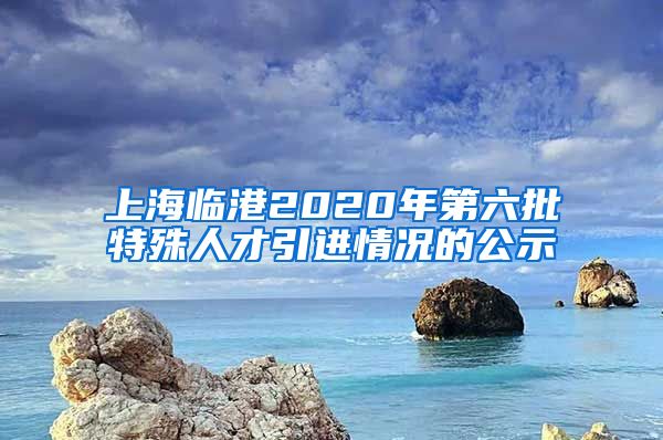 上海临港2020年第六批特殊人才引进情况的公示