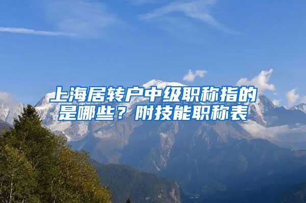 上海居转户中级职称指的是哪些？附技能职称表