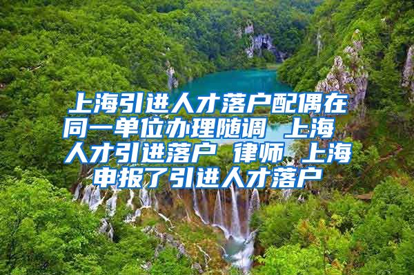 上海引进人才落户配偶在同一单位办理随调 上海 人才引进落户 律师 上海申报了引进人才落户