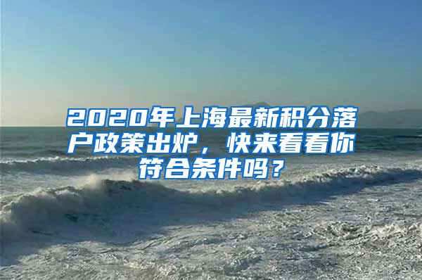 2020年上海最新积分落户政策出炉，快来看看你符合条件吗？