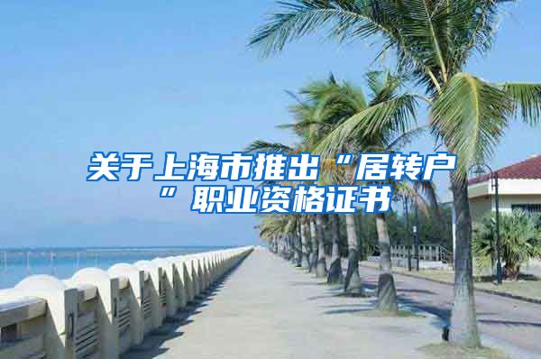 关于上海市推出“居转户”职业资格证书