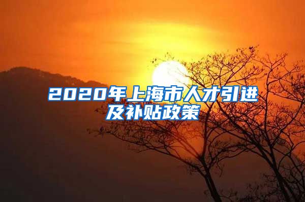 2020年上海市人才引进及补贴政策