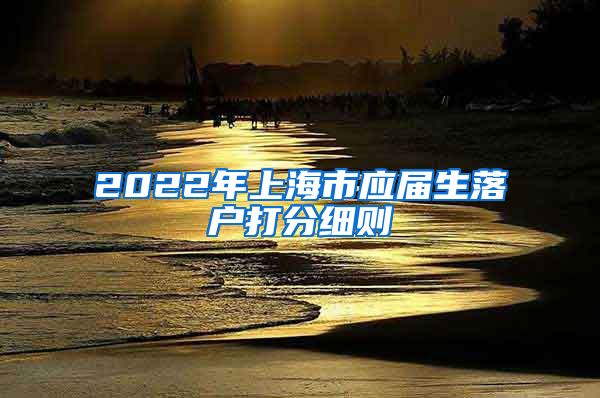 2022年上海市应届生落户打分细则