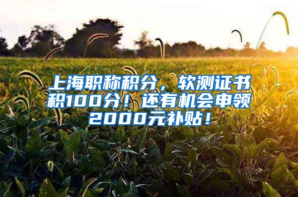 上海职称积分，软测证书积100分！还有机会申领2000元补贴！