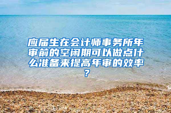 应届生在会计师事务所年审前的空闲期可以做点什么准备来提高年审的效率？