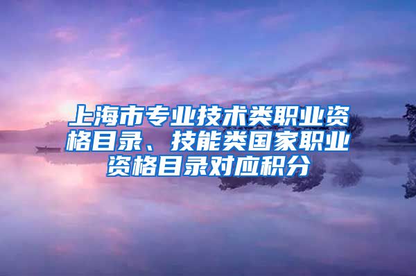 上海市专业技术类职业资格目录、技能类国家职业资格目录对应积分