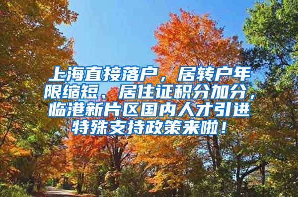 上海直接落户，居转户年限缩短、居住证积分加分，临港新片区国内人才引进特殊支持政策来啦！