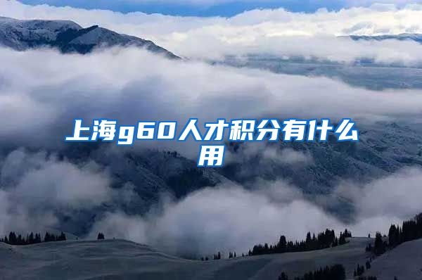 上海g60人才积分有什么用