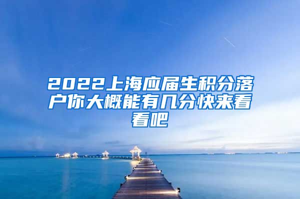 2022上海应届生积分落户你大概能有几分快来看看吧