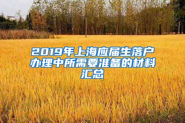 2019年上海应届生落户办理中所需要准备的材料汇总