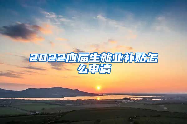 2022应届生就业补贴怎么申请