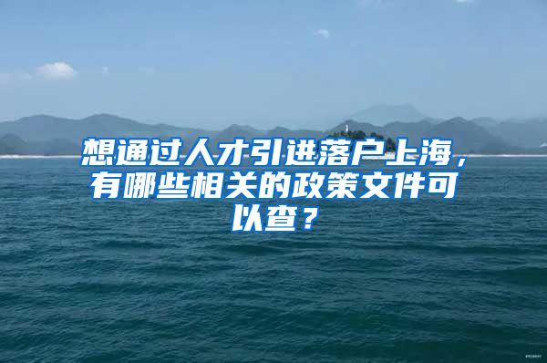 想通过人才引进落户上海，有哪些相关的政策文件可以查？