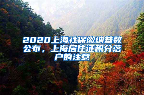 2020上海社保缴纳基数公布，上海居住证积分落户的注意