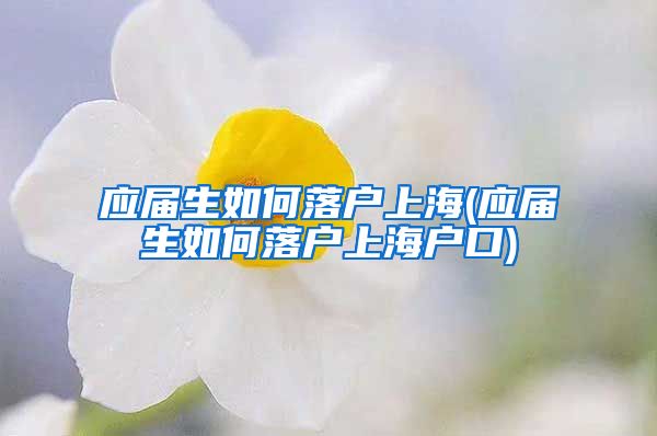 应届生如何落户上海(应届生如何落户上海户口)