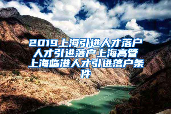 2019上海引进人才落户 人才引进落户上海高管 上海临港人才引进落户条件