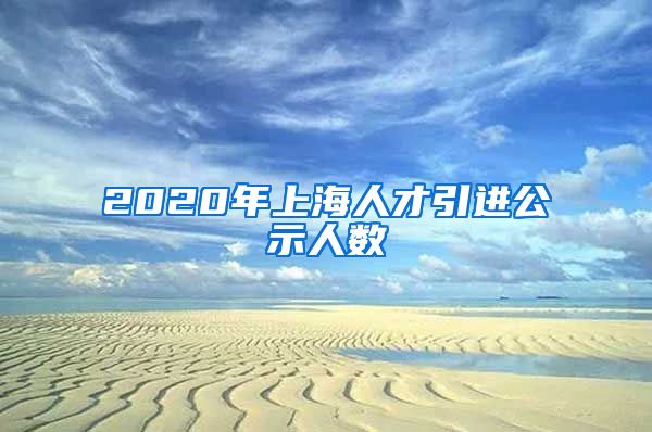 2020年上海人才引进公示人数