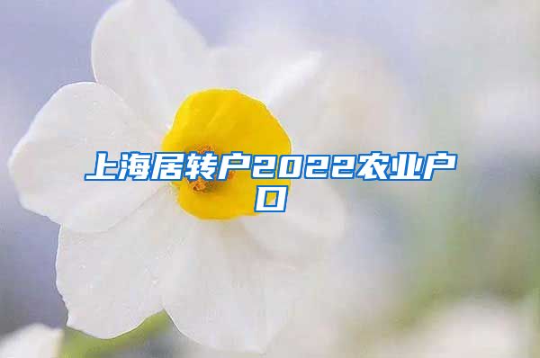 上海居转户2022农业户口