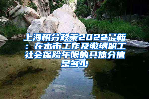 上海积分政策2022最新：在本市工作及缴纳职工社会保险年限的具体分值是多少