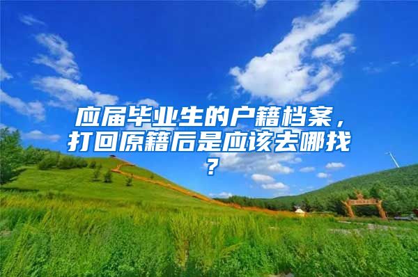 应届毕业生的户籍档案，打回原籍后是应该去哪找？