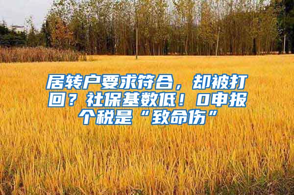 居转户要求符合，却被打回？社保基数低！0申报个税是“致命伤”