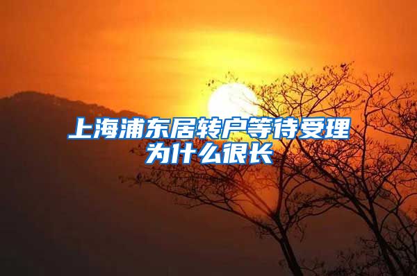 上海浦东居转户等待受理为什么很长