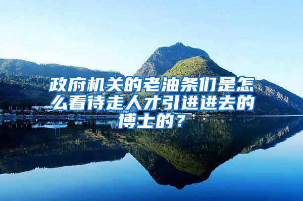 政府机关的老油条们是怎么看待走人才引进进去的博士的？