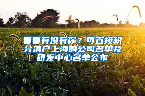 看看有没有你？可直接积分落户上海的公司名单及研发中心名单公布