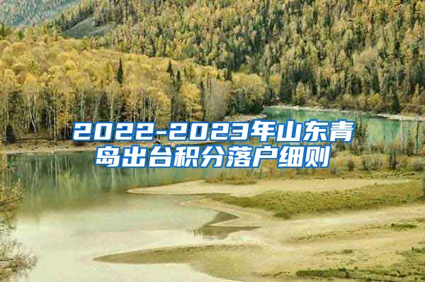 2022-2023年山东青岛出台积分落户细则