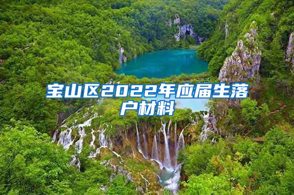 宝山区2022年应届生落户材料