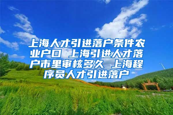 上海人才引进落户条件农业户口 上海引进人才落户市里审核多久 上海程序员人才引进落户