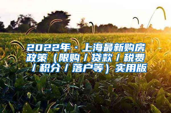 2022年·上海最新购房政策（限购／贷款／税费／积分／落户等）实用版