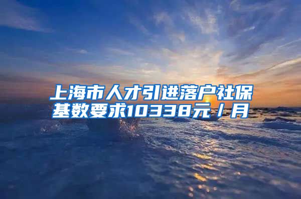 上海市人才引进落户社保基数要求10338元／月