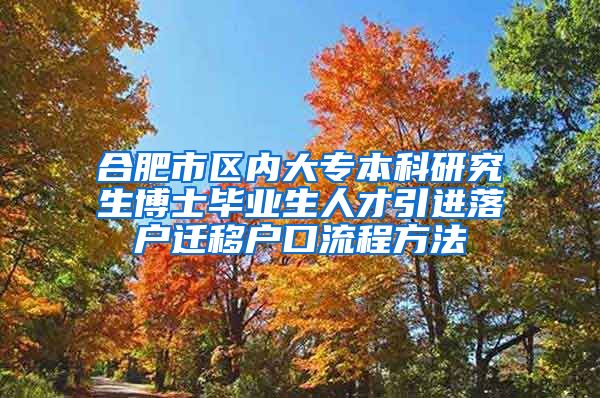 合肥市区内大专本科研究生博士毕业生人才引进落户迁移户口流程方法