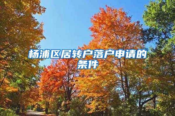 杨浦区居转户落户申请的条件