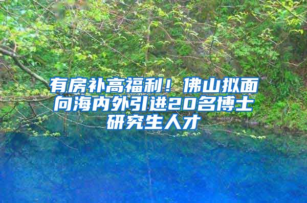 有房补高福利！佛山拟面向海内外引进20名博士研究生人才