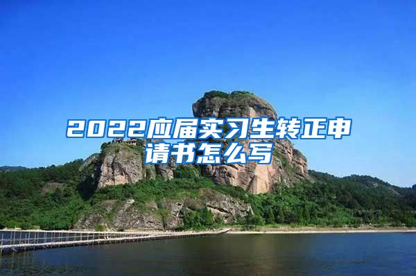 2022应届实习生转正申请书怎么写