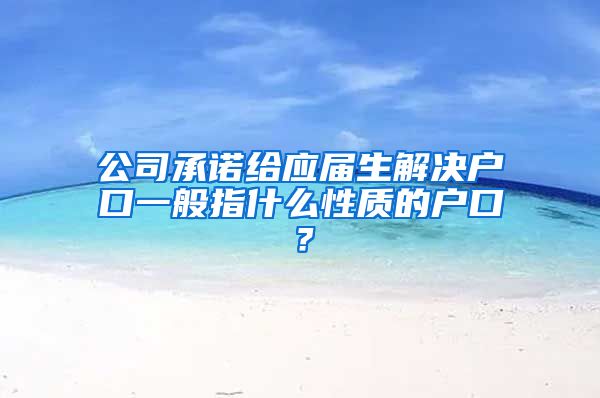 公司承诺给应届生解决户口一般指什么性质的户口？