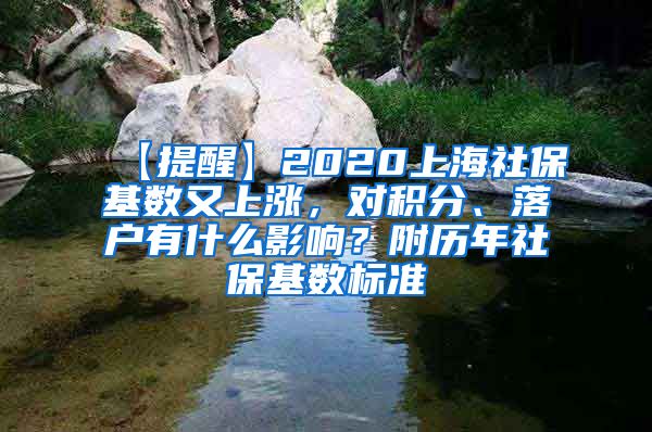 【提醒】2020上海社保基数又上涨，对积分、落户有什么影响？附历年社保基数标准