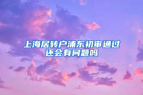 上海居转户浦东初审通过还会有问题吗