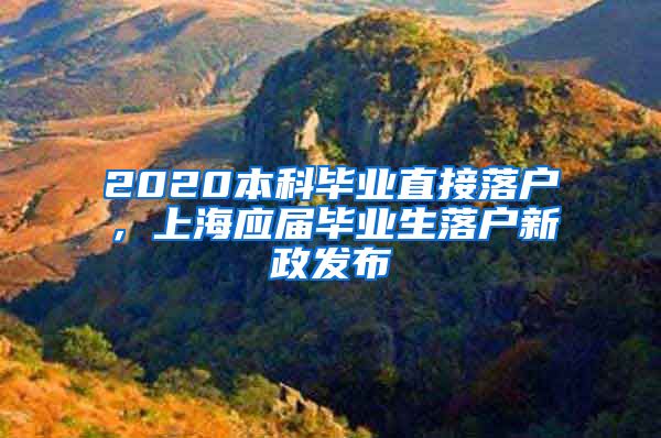 2020本科毕业直接落户，上海应届毕业生落户新政发布
