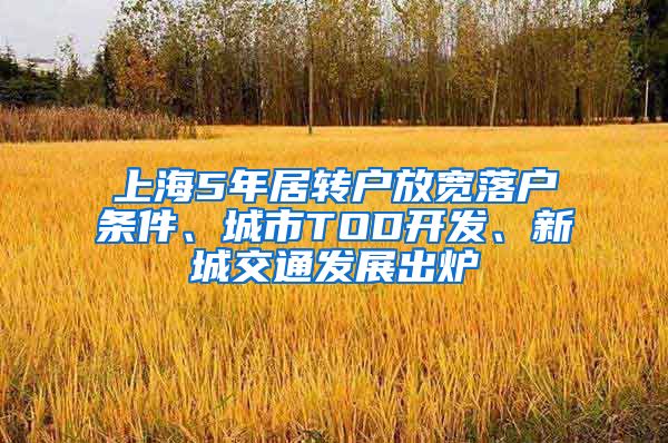 上海5年居转户放宽落户条件、城市TOD开发、新城交通发展出炉