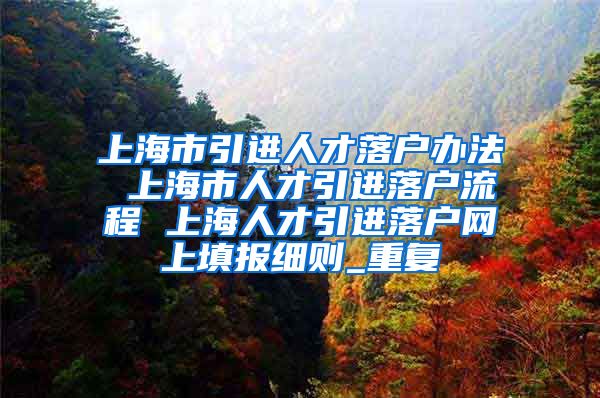 上海市引进人才落户办法 上海市人才引进落户流程 上海人才引进落户网上填报细则_重复