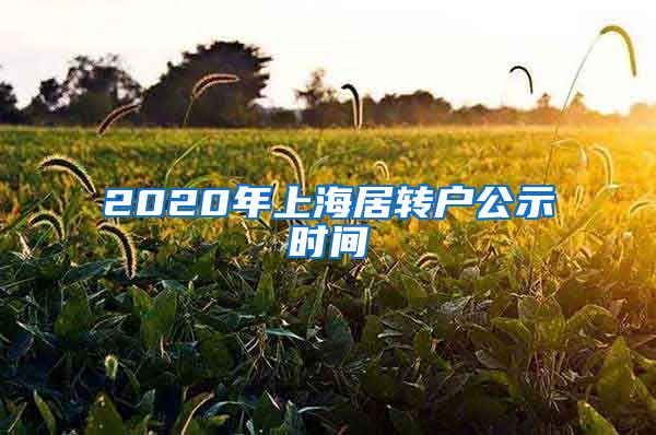 2020年上海居转户公示时间